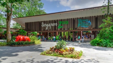 Singapore Zoo & Night Safari