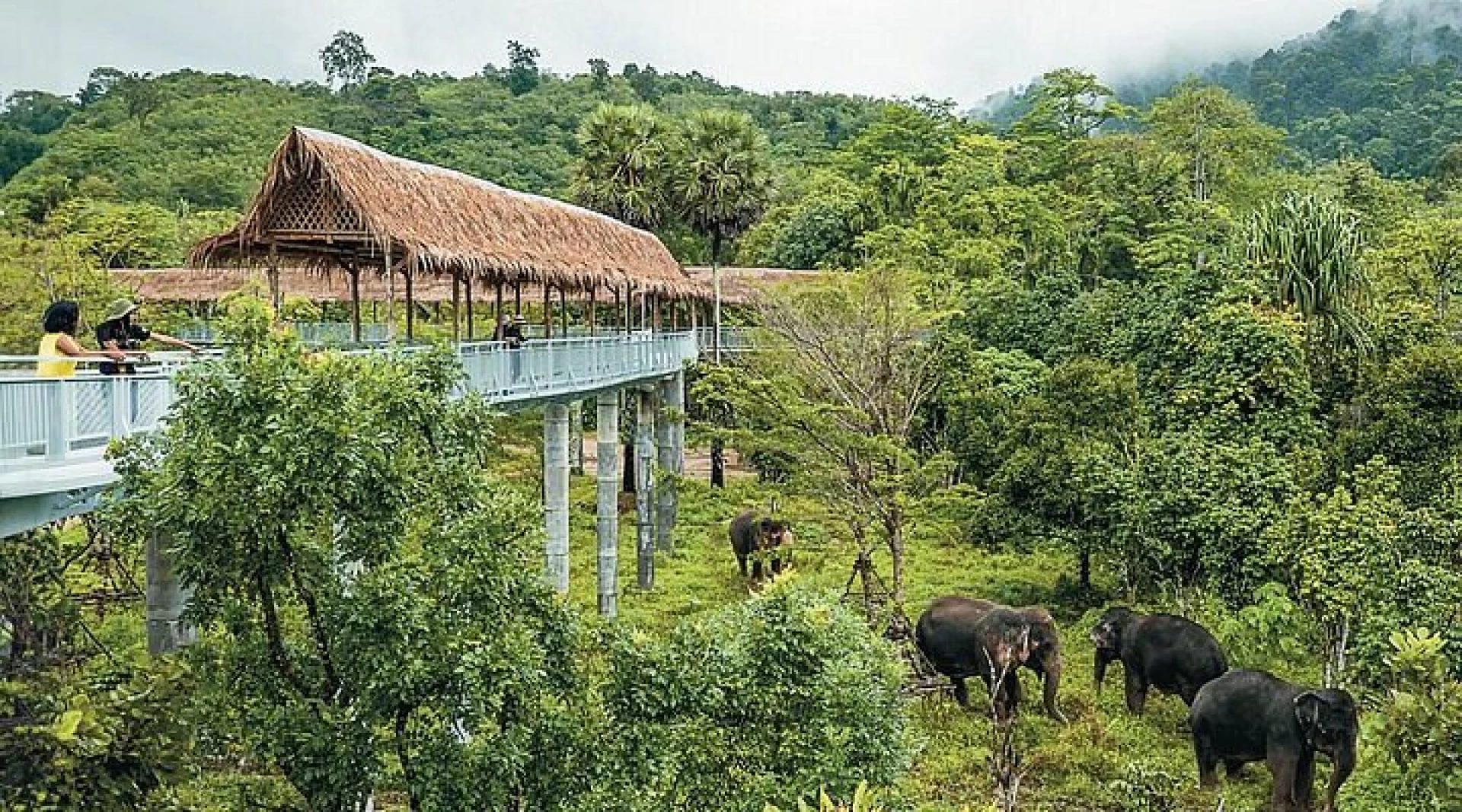 Elephant Beach