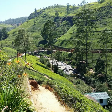 Nuwara