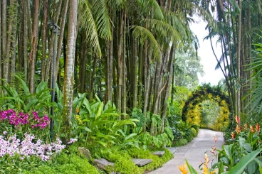 National Orchid Graden