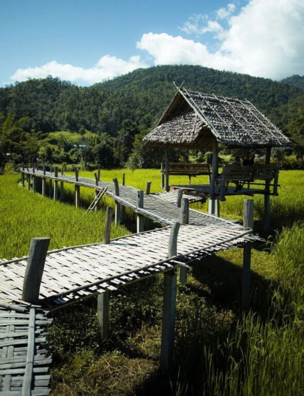 กรุงเทพฯ - กาญจนบุรี - อยุธยา - เชียงใหม่ - ออกเดินทางจากเชียงใหม่