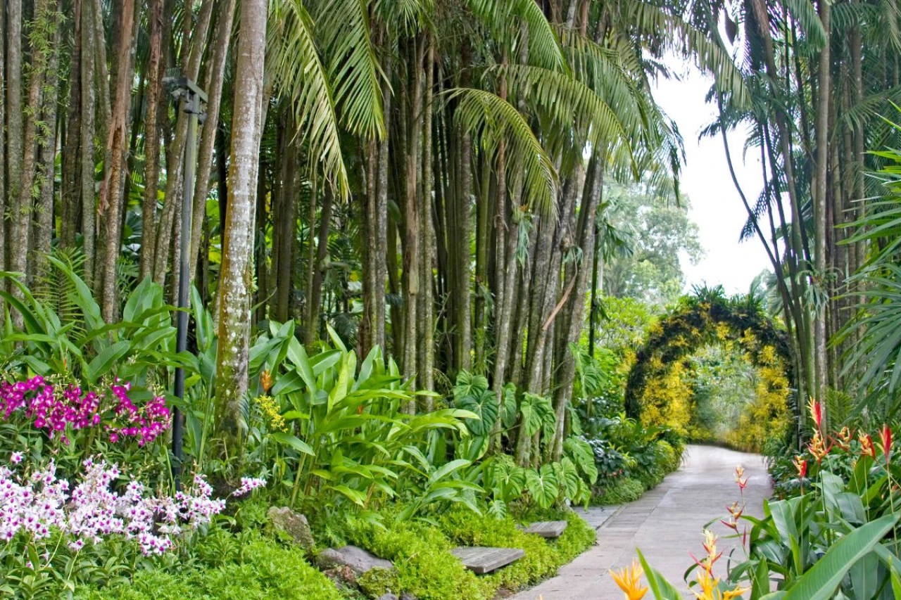 Ankunft in Singapur – Garden by the Bay – Insel Sentosa – Nachtsafari – Abreise aus Singapur