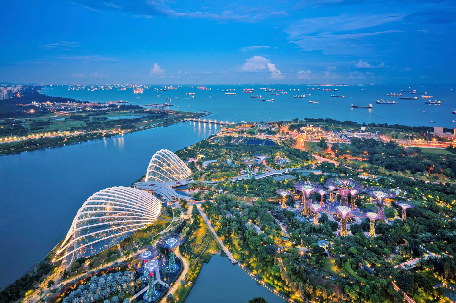 Singapore Arrival - Garden by the Bay - Singapore City Tour - Singapore Departure