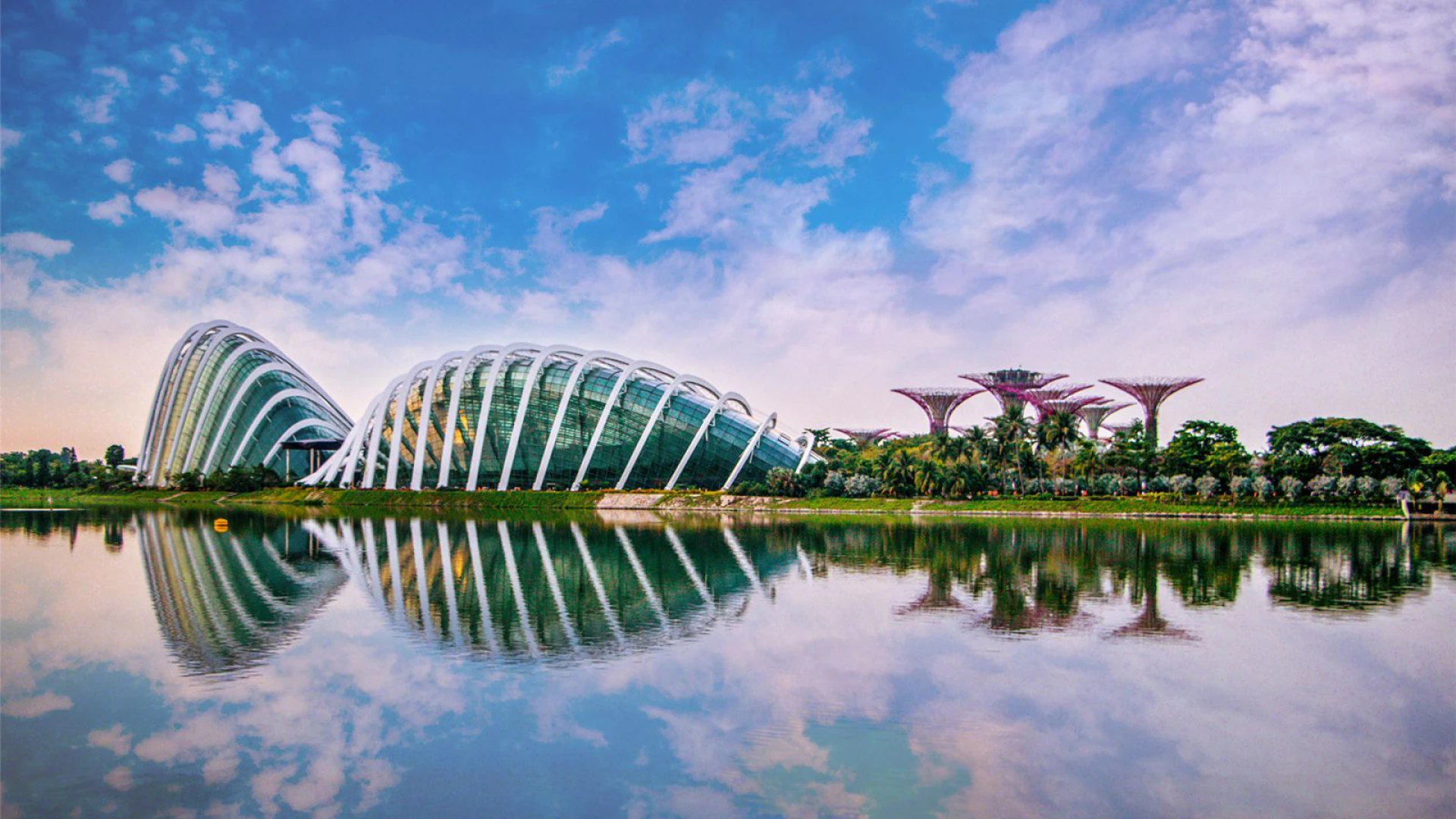 Singapore Arrival - Garden by the Bay - Singapore Full Day City Tour - Singapore Departure