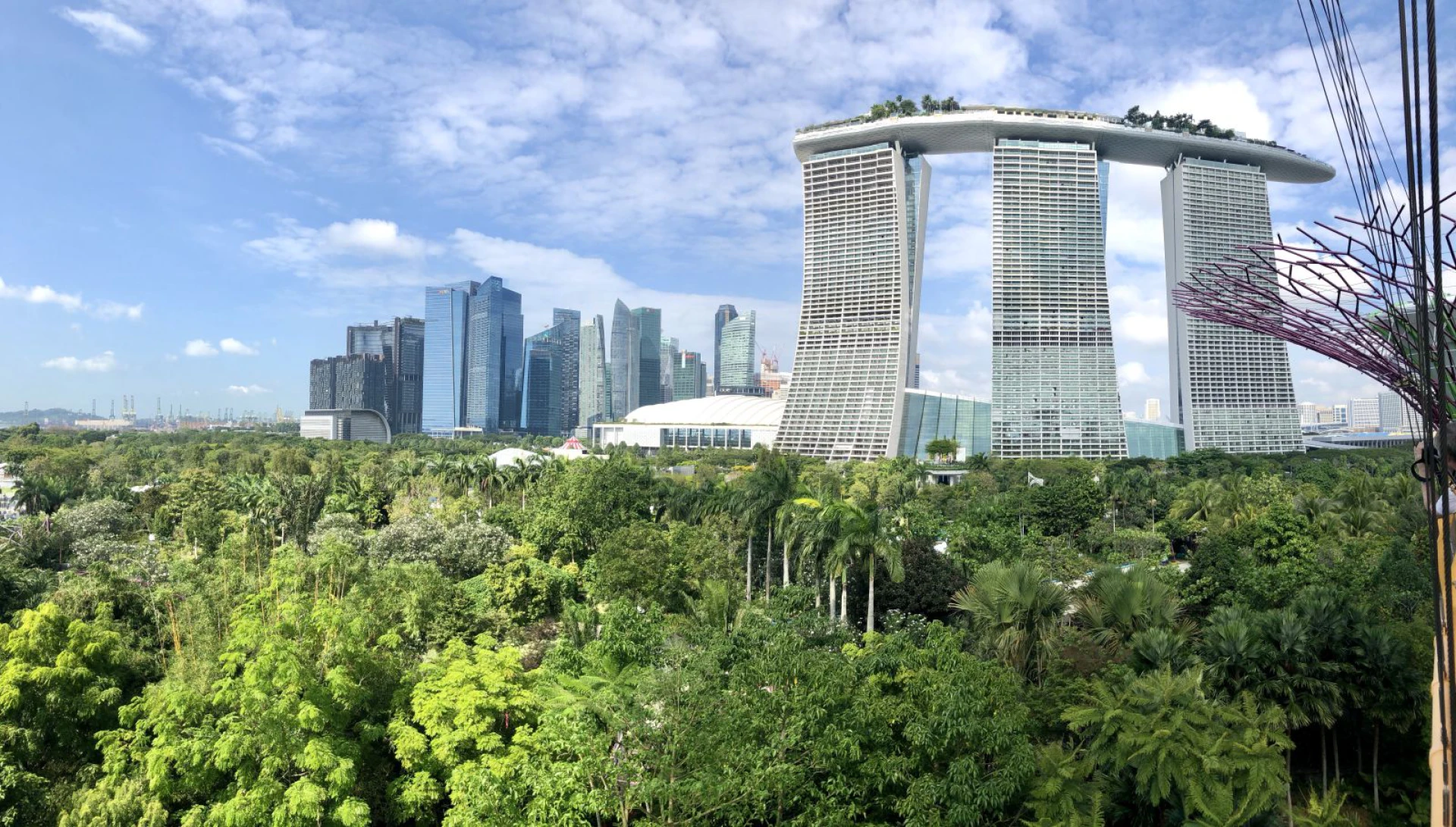Singapore Arrival