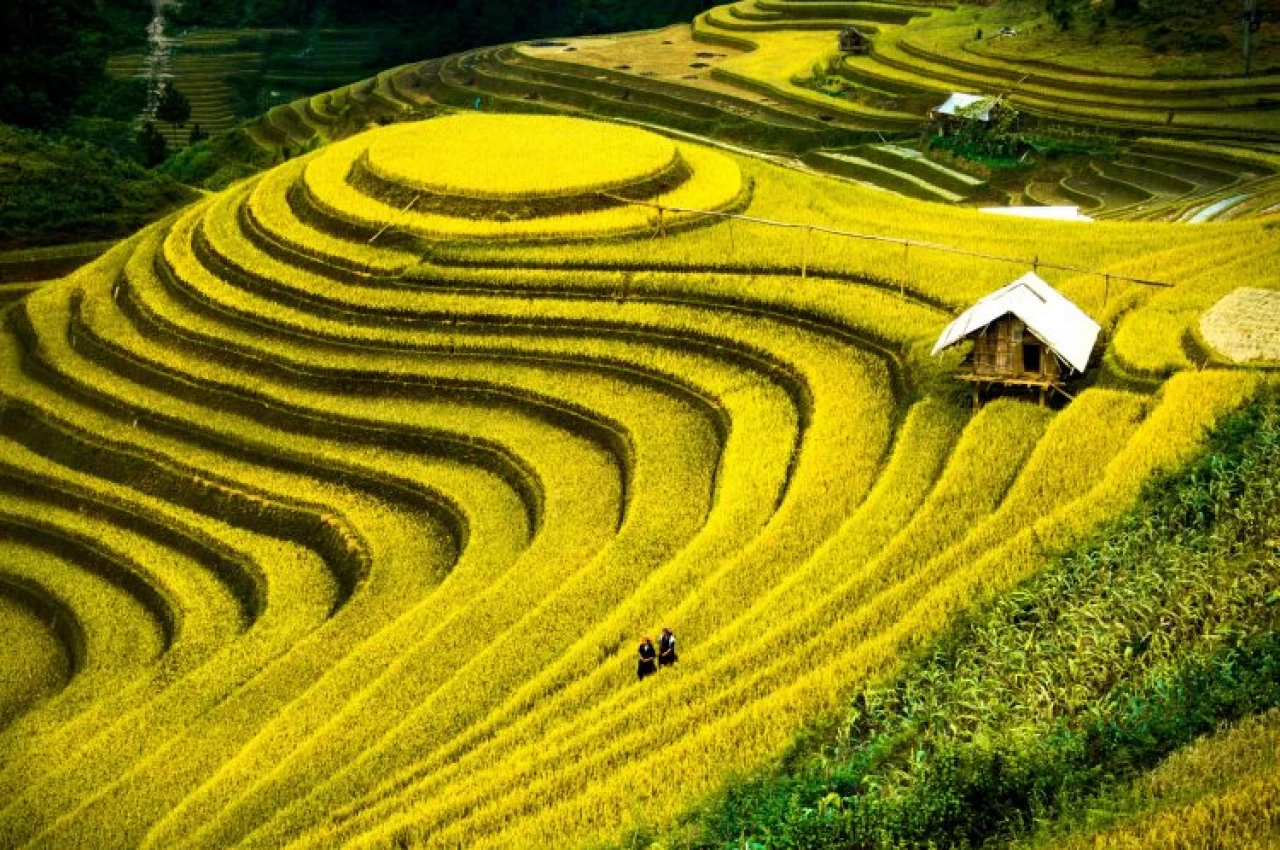 14 Days Tour Package - Vietnam  Hanoi - Sapa - Danang - Bana Hill - Dalat- Cu Chi Tunnel - Saigon