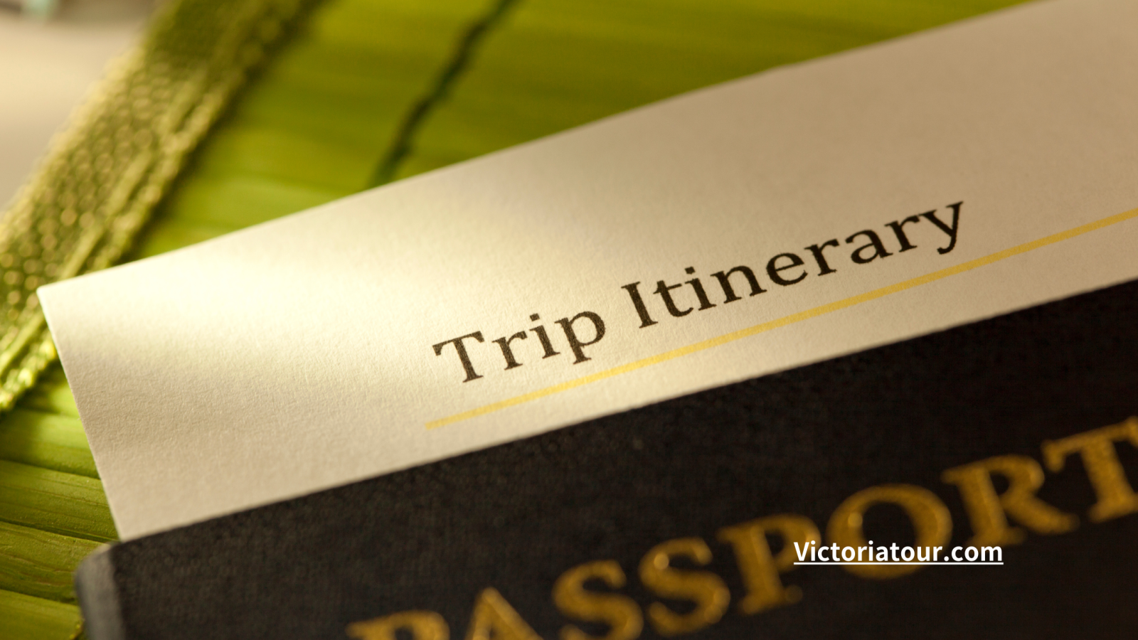 Localtraveldmcinindia